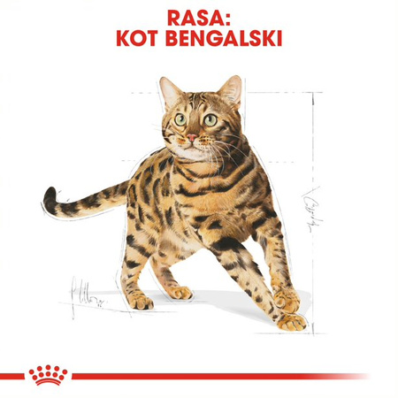 Royal Canin FBN Bengal Adult 10kg Karma Sucha Dla Kotów Dorosłych Rasy Bengalskiej Powyżej 12 Miesiąca Życia