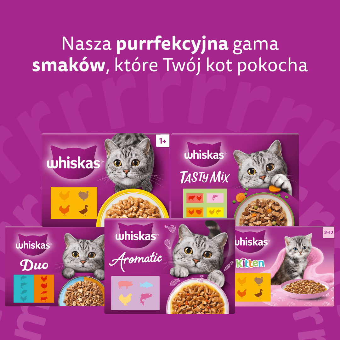 Whiskas Mokra Karma Dla Dorosłego Kota