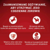 Purina ONE Mini Sensitive z Łososiem i Ryżem 800g Sucha Karma Dla Psów Małych Ras