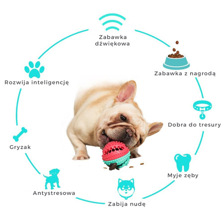 Zabawka gryzak dla psa na przysmaki piłka z dozownikiem