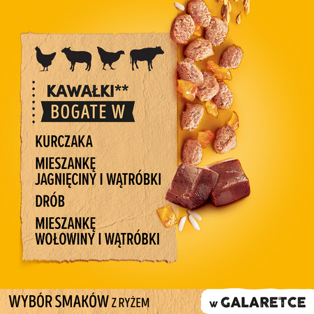 Pedigree Junior Saszetka 12x100g Mokra Karma W Galaretce Dla Psa Mix Czterech Smaków