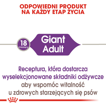 Royal Canin Giant Adult Karma Sucha Dla Psów Dorosłych Ras Olbrzymich 2x15kg