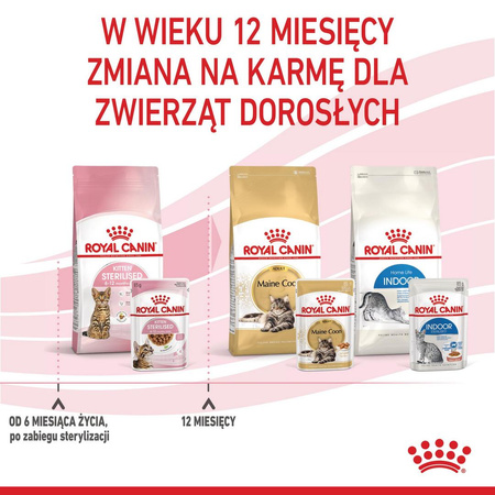 Royal Canin Kitten Sterilised Karma Mokra W Sosie Dla Kociąt Do 12 Miesiąca Życia 85g