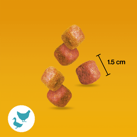 Pedigree Tasty Minis Chewy Cubes Z Kurczakiem 6x130g Przysmak dla psa