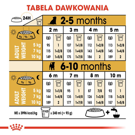 Royal Canin BHN Jack Russell Terrier Puppy 3kg Karma Sucha Dla Szczeniąt Do 10 Miesiąca Rasy Jack Russel Terrier