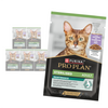 Purina Pro Plan Adult Sterilised Maintenance 6x85g Mokra Karma Dla Kota z Indykiem w Galaretce