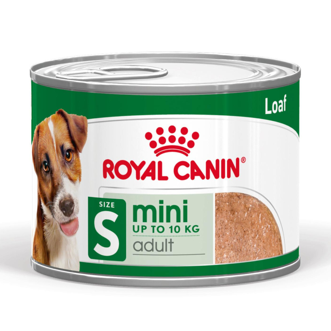 Royal Canin Mini Adult Mokra Karma Dla Psów Ras Małych