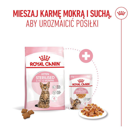 Royal Canin FHN Kitten Sterilised W Galaretce 24x85g Karma Mokra Dla Kociąt Sterylizowanych Do 12 Miesiąca Życia