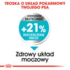 Royal Canin CCN Mini Urinary Care 3kg Karma Sucha Dla Psów Dorosłych Ras Małych Ochrona Dolnych Dróg Moczowych