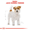 Royal Canin BHN Jack Russell Terrier Adult 1,5kg Karma Sucha Dla Psów Dorosłych Rasy Jack Russell Terrier