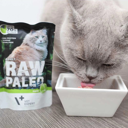 Vet Expert Raw Paleo Adult Game 6x100g Saszetka Karma Mokra z Dziczyzną Dla Kota