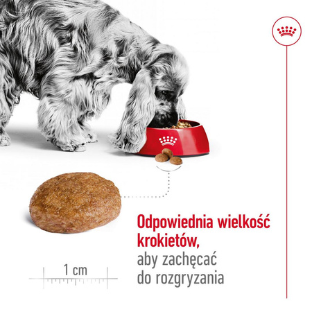 Royal Canin Medium Adult 7+ Lat 15kg Karma Sucha Dla Psów Starszych Od 7 Do 10 Roku Życia Ras Średnich