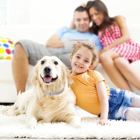 Obroża Na Kleszcze i Pchły Dla Psa Kota Duża 20-60cm Pomarańczowa