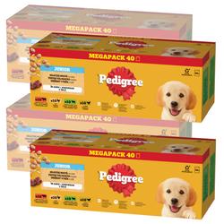 Pedigree Junior Wybór Smaków 160x100g Mokra Karma Dla Szczeniąt Wołowina Kurczak Jagnięcina Ryż W Galaretce