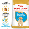 Royal Canin BHN Labrador Retriever Puppy 3kg Karma Sucha Dla Szczeniąt Do 15 Miesiąca Rasy Labrador Retriever