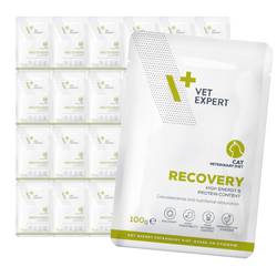 VetExpert Veterinary Diet Recovery Cat 24x100g Mokra Weterynaryjna Karma Dla Kotów w Okresie Rekonwalescencji