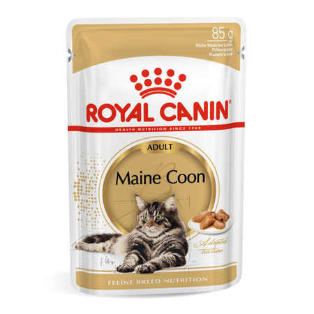 Royal Canin FBN Maine Coon Adult 48x85g Karma Mokra W Sosie Dla Kotów Dorosłych Rasy Maine Coon