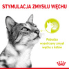 ROYAL CANIN Sensory Smell Gravy 85g Mokra Karma Dla Kotów Wybrednych