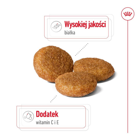 Royal Canin Adult Medium BF 15kg Zbilansowana Sucha Karma Dla Psów Średnich Ras