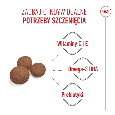 Royal Canin SHN Medium Puppy 15kg Karma Sucha Dla Szczeniąt Od 2 Do 12 Miesiąca Ras Średnich