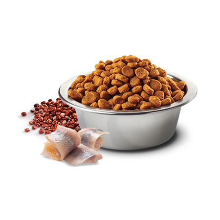 Farmina N&D Cat Quinoa Skin & Coat Herring 1,5kg Sucha Karma ze Śledziem Dla Kota Zdrowa Skóra i Sierść