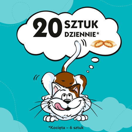 Dreamies Przysmak Dla Kota Chrupiące Paszteciki Z Nadzieniem Z Nutą Kocimiętki 6x60g