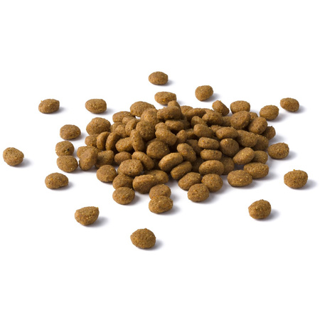 Purina Cat Chow Adult 15kg Sucha Karma Dla Kota Z Kurczakiem