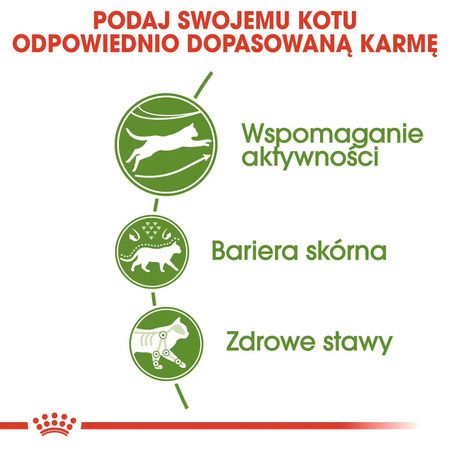 Royal Canin Outdoor 4kg Sucha Karma Dla Kotów Dorosłych Wychodzących Na Zewnątrz
