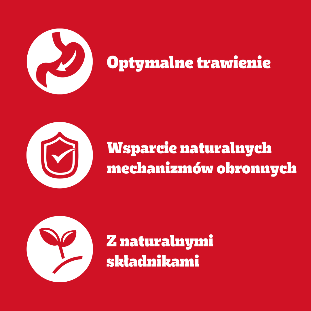 Pedigree Adult Wybór Smaków Mokra Karma Dla Dorosłych Psów W Galaretce