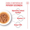ROYAL CANIN SHN Mini Puppy 12x85g karma mokra w sosie dla szczeniąt do 10 miesiąca, ras małych