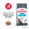 Royal Canin Urinary Care 4kg Karma Sucha Dla Kotów Dorosłych Ochrona Dolnych Dróg Moczowych