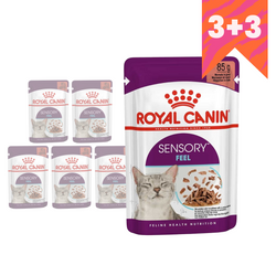 Royal Canin FHN Sensory Feel 6x85g Karma Mokra Kawałki W Sosie Dla Kotów Dorosłych Pobudzająca Percepcje Tekstur 3+3 GRATIS