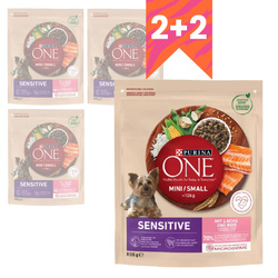 Purina ONE Mini Sensitive z Łososiem i Ryżem 4x800g Sucha Karma Dla Psów Małych Ras