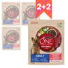 Purina One Mini Adult 4x800g Sucha Karma Dla Psów Małych Ras Z Wołowiną I Ryżem