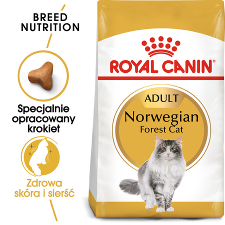 Royal Canin FBN Norvegian Forest Cat Adult 10kg Karma Sucha Dla Kotów Dorosłych Rasy Norweski Leśny