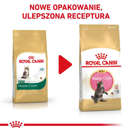 Royal Canin FBN Maine Coon Kitten 10kg Karma Sucha Dla Kociąt Do 15 Miesiąca Rasy Maine Coon