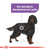 Royal Canin Maxi Sterilised Karma Sucha Dla Psów Sterylizowanych Ras Dużych 3kg + Pasztet 12x85g