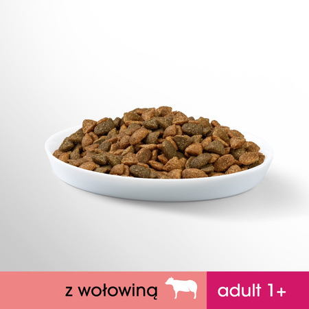 PERFECT FIT Adult 1+ 750g Sucha Karma Dla Kotów Dorosłych Bogata w Wołowinę