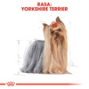 Royal Canin BHN Adult Yorkshire Terrier 85g Mokra Karma Pasztet Dla Psów Rasy York