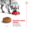 Royal Canin SHN Maxi Adult 5+ 15kg Karma Sucha Dla Psów Dojrzałych Od 5 Do 8 Roku Życia Ras Dużych