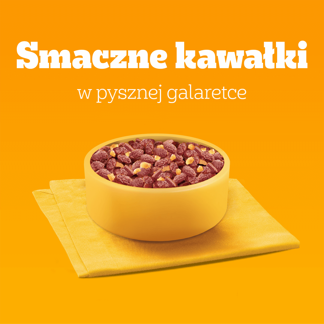 Pedigree Adult Mokra Karma Dla Psa 80x100g Wybór Smaków W Galaretce