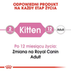 Royal Canin Kitten 48x85g Pełnoporcjowa Mokra Karma Dla Kociąt Do 12 Miesiąca Życia Pasztet