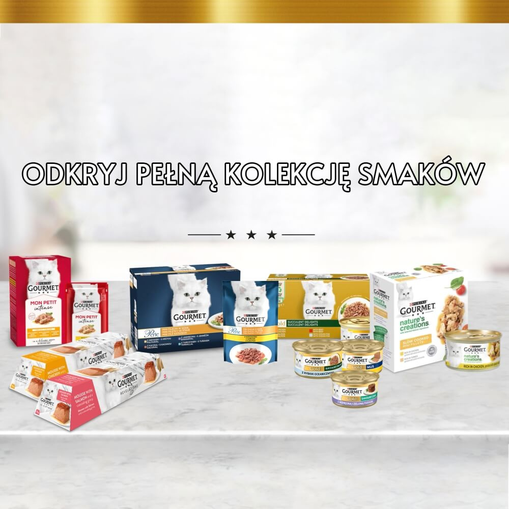 Gourmet Gold Savoury Cake