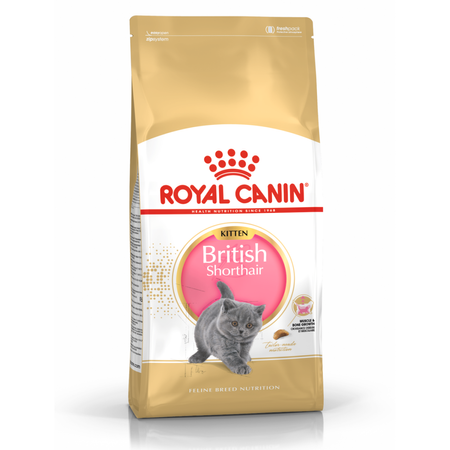 Royal Canin FBN British Shorthair Kitten 400g Karma Sucha Dla Kociąt Do 12 Miesiąca Rasy Brytyjski Krótkowłosy