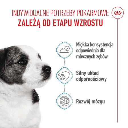 ROYAL CANIN SHN Mini Puppy 85g karma mokra w sosie dla szczeniąt do 10 miesiąca, ras małych