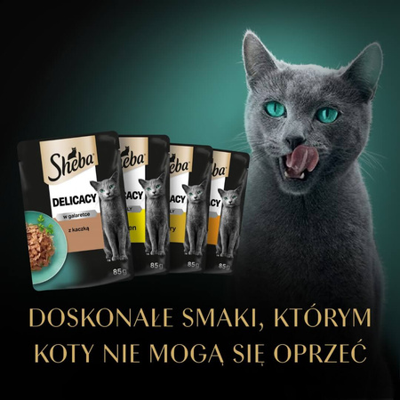 Sheba Delicacy Drobiowe Smaki Saszetki 40x85g Mokra Karma Pełnoporcjowa Dla Kota W Galaretce
