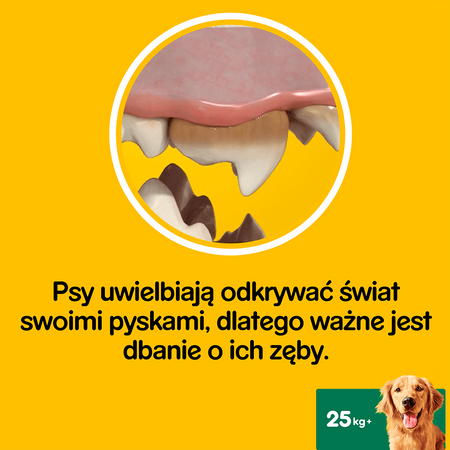 Pedigree Dentastix 3x56szt Przysmak Dentystyczny Dla Psów Dużych Ras 2+1 GRATIS
