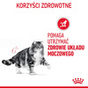 ROYAL CANIN Urinary Care 24x85g Karma Mokra Dla Kotów Ochrona Dolnych Dróg Moczowych Sos