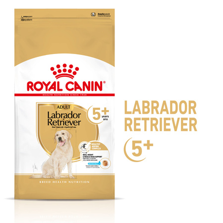 Royal Canin BHN Labrador Retriever 5+ 3kg Karma Sucha Dla Dojrzałych Psów Rasy Labrador Retriever Powyżej 5 Roku Życia