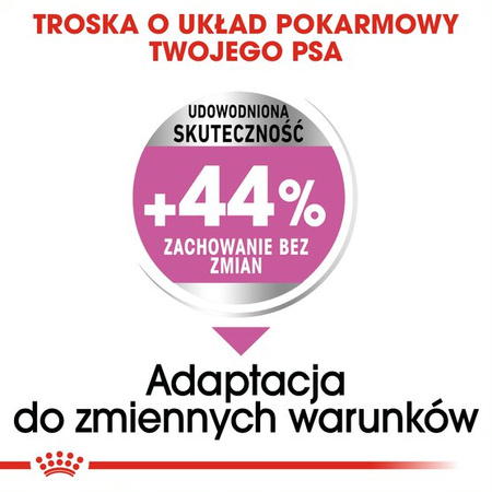 Royal Canin Medium Relax Care 3kg Karma Sucha Dla Psów Ras Średnich + Pasztet Digestive Care 12x85g